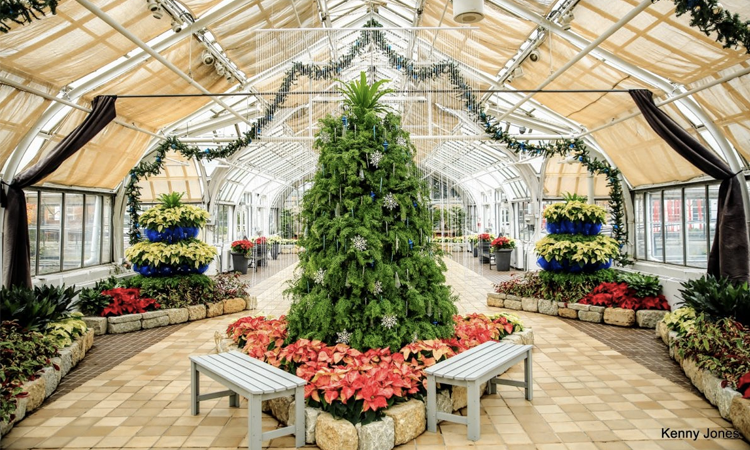 Gardens Aglow at the Franklin Park Conservatory | Columbus, OH