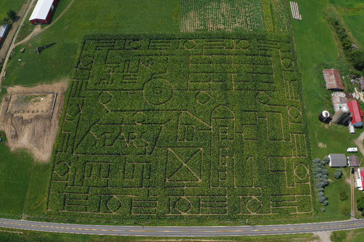Pumpkin Patches in Akron & Canton