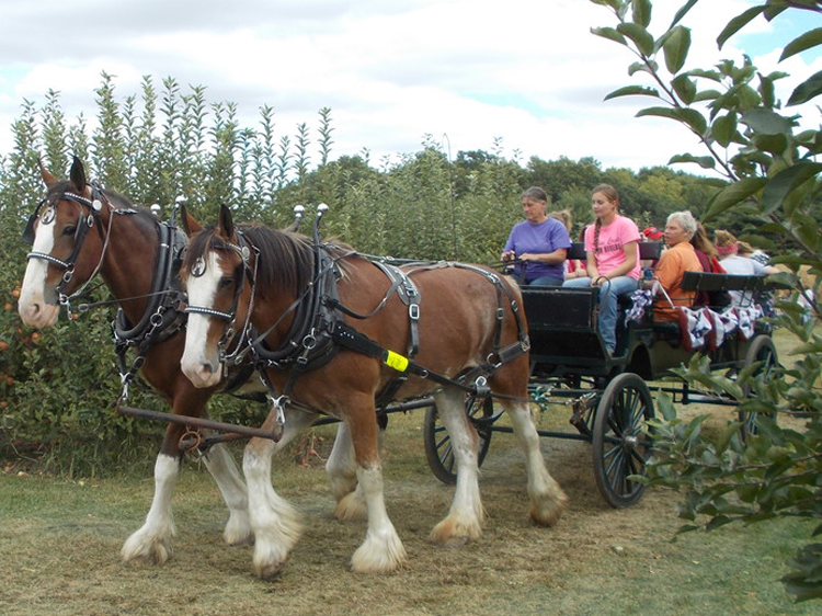 Columbus Fall Events